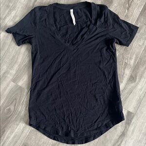 Babaton Aritzia The Group Basic V Neck Shirt